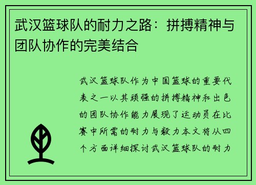 武汉篮球队的耐力之路：拼搏精神与团队协作的完美结合