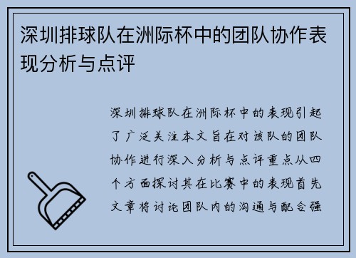 深圳排球队在洲际杯中的团队协作表现分析与点评