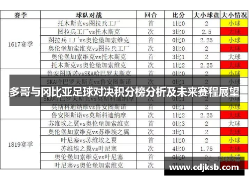多哥与冈比亚足球对决积分榜分析及未来赛程展望